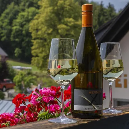 Appartementhaus Eifeladventures Berlingen