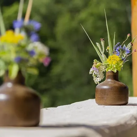 Appartementhaus Eifeladventures Hotel *