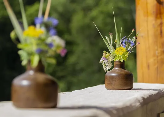 Appartementhaus Eifeladventures Отель *