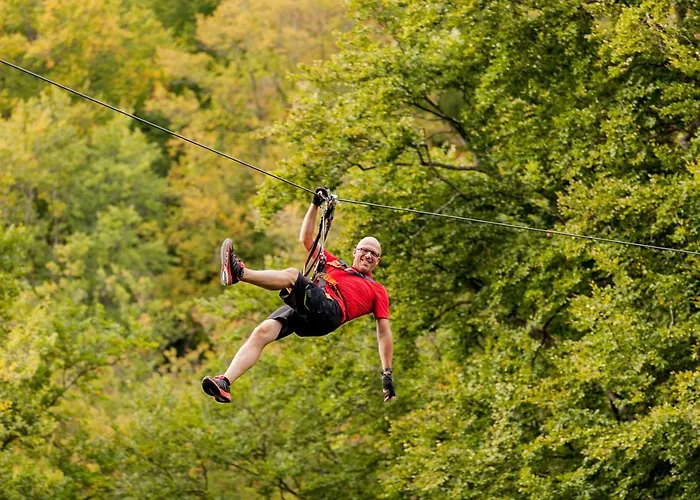 Appartementhaus Eifeladventures Отель Berlingen