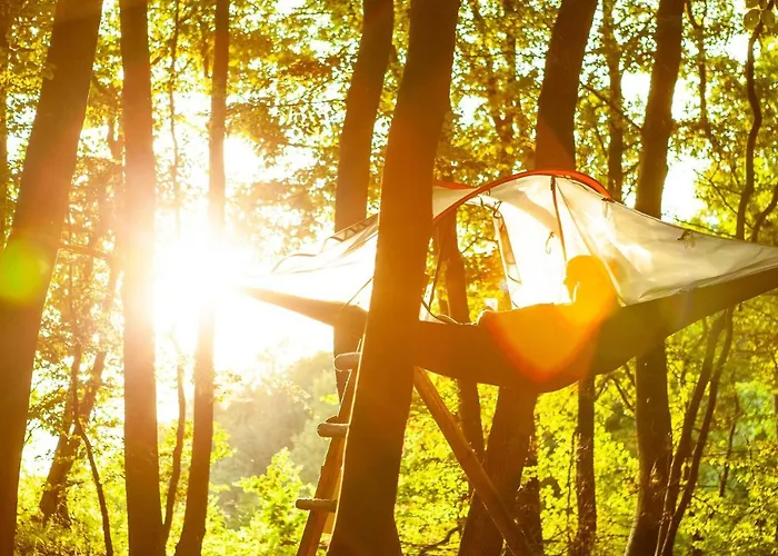 Appartementhaus Eifeladventures