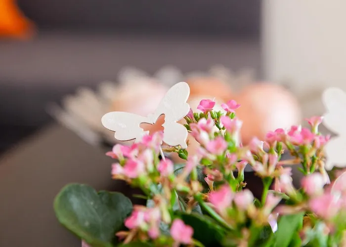 Отель Appartementhaus Eifeladventures